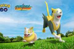 Yamper and Bolthund run through a grassy field in Pokémon Go.